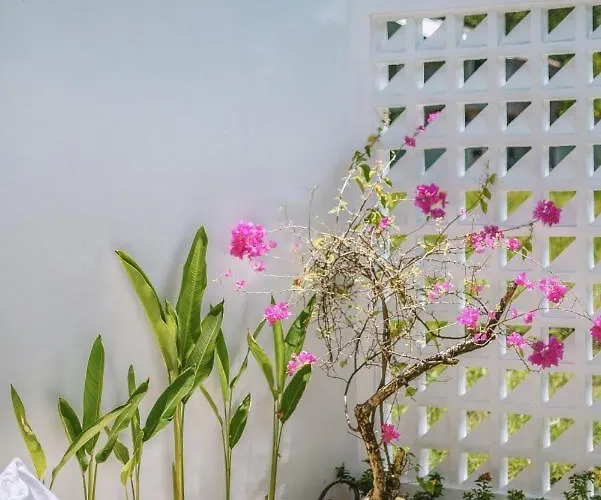 Cha Cha: Stylish 1 Bedroom In Pererenan Villa *